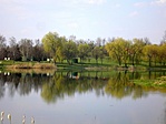 Félsziget (eperdzsem)