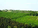 Szőlőhegy