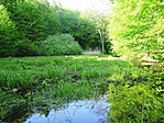 Tavacska