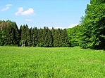 Tisztás
