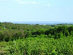 Szőlőhegy