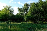 201.állomás:Poklos-tó, Iván 201.állomás:Poklos-tó, Iván