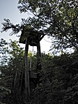 Harangláb