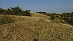 175. Fóti Somlyó