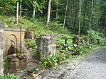 A forrás