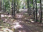 Láda közelében