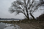 Dunapart