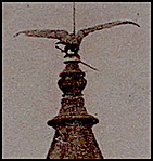 Egykori turulmadár