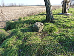 Határkő