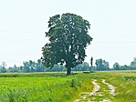 Messzi kép