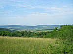 Panoráma