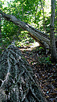 Pár méteren belül jársz :)