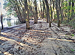 Palotai-sziget
