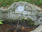 A forrás