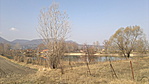 281.Pázsit-tó; Pócsmegyer
