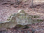 A forrás