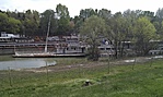 Szőke Tisza
