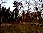 Park