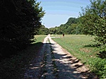 Sás-völgy 