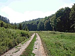 Sás-völgy