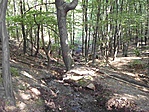 A forrásnál II