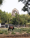 Bolondtorony mellett...