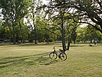 Halesz park