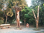 Park a templomnál