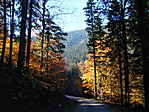 Az úton