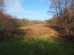 Buckaközi teknő