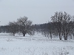 Havas mező