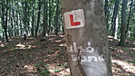 Alsó sánc felirat