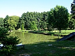 Tó részlet