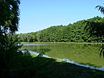 Tó részlet
