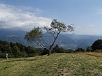GCKLV mellett, 1100m-en
