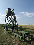 Kilátó