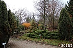Irinyi Arborétum