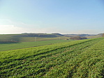 Panoráma I