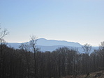 Kilátás a Naszály tömbjére a Sós-kút feletti erdészeti útról