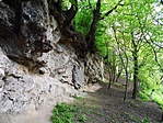 Darázskő