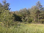 Az igazi bejárat