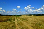 Nyáron