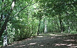 133. Biatorbágy