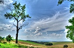 Visszatekintve