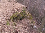 A rejtek