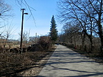 alternatív villanyoszlop
