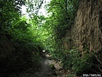 Szarvas-szurdik