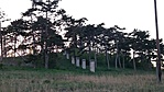 152.állomás: Sóly