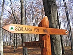 Elágazás (fotó: filemaneger)