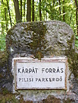 Kárpát-forrás